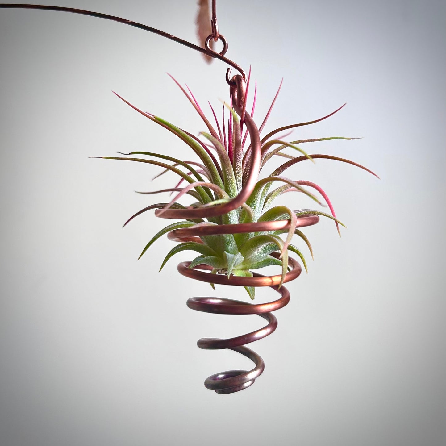 Copper Leaf Mobile with Air Plant