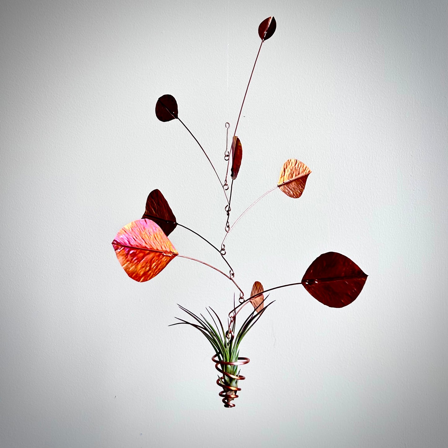 Copper Leaf Mobile with Air Plant